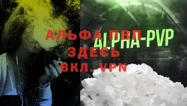 spice Няндома