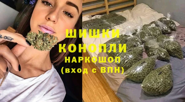 spice Няндома