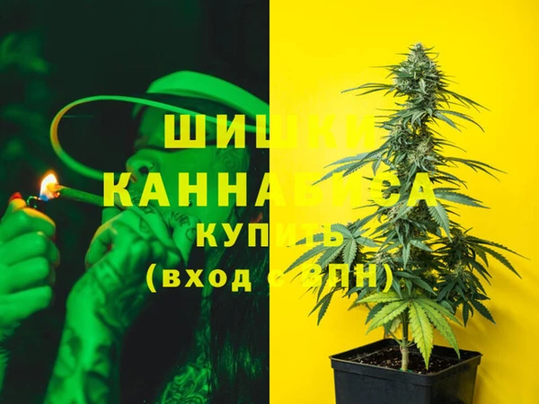 ГАЛЛЮЦИНОГЕННЫЕ ГРИБЫ Нязепетровск