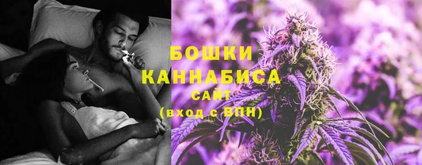 ГАЛЛЮЦИНОГЕННЫЕ ГРИБЫ Нязепетровск