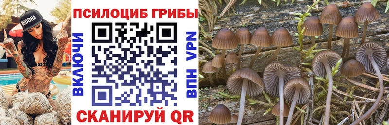 Купить где  Полевской  Псилоцибиновые грибы ЛСД 